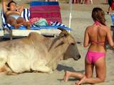 Netter Partner am Strand