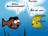 Fisch mit neuer Frisur