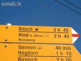 Bitsch