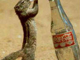 Gib mir mal die flasche