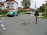 Tierischer Zusammenhalt.
