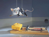 Agent Maus in riskanter Mission