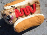 Das nenne ich mal einen Hotdog