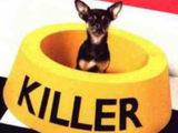 Der Killer bei dir Zuhause