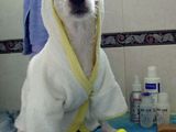 Mit dem will ich mal baden gehen!