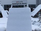 Dachziegel des Monats