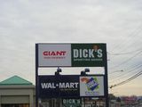 Giant Dicks