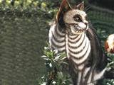 Skelettkatze