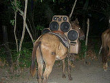 Ghettoblaster-Sattel