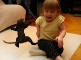 Kampfkatze kommt angeflogen