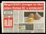 EHEC im Hirn