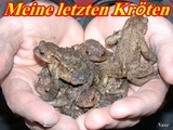 Meine letzten Kr&ouml;ten