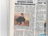 Muschi gegen Stress