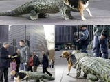 Hund mit Krokodil