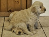 Versteck mich