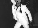 Night F&uuml;hrer