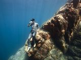 Unterwasser-Mittagspause Unterwasser-Mittagspause