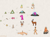 Evolution