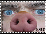 Schweinemarke