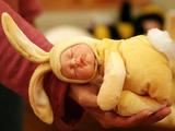 Süßer Babyhase Süßer Babyhase