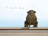 Einsamer Elefant