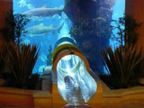 Rutsche durch Aquarium