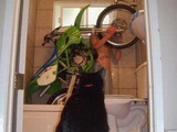 Motorrad in der Wanne