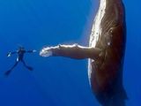 High Five, Dude!
