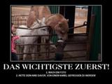Das wichtigste zuerst