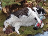 Man hab ichn Kater xD