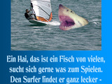 Hai frisst Surfer