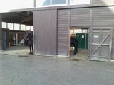 Langes Pferd