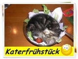 Lecker Katerfr&uuml;hst&uuml;ck