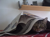 Hallo, was guckst du so?