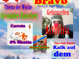 Rentner Bravo