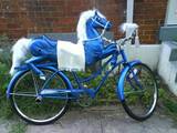 Pferdchen Fahrrad