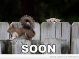 Bald!