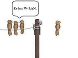 W-LAN Vogel