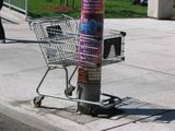der Einkauswagen und die S&auml;ule