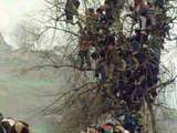 Menschen Baum