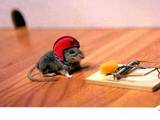 Clever!