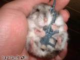 Terroristen Maus