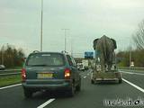 Schwertransport