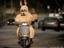 Motorisierter Osterhase