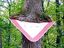 Baum gegen Schild