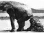 Der Elefant und das Gesch&auml;ft