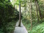 Baum im Weg