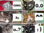 Katzen-Smileys