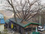 Baumhaus