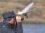Neugieriger Vogel